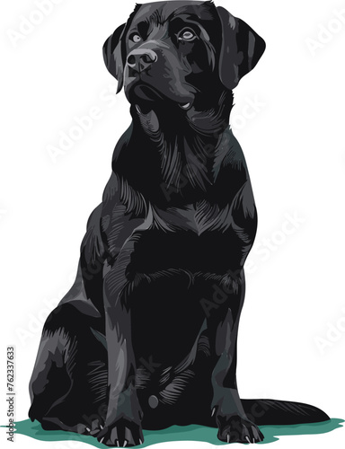 Lovable Labrador Heartwarming Dog Vector Illustration