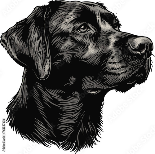 Lovable Labrador Heartwarming Dog Vector Illustration
