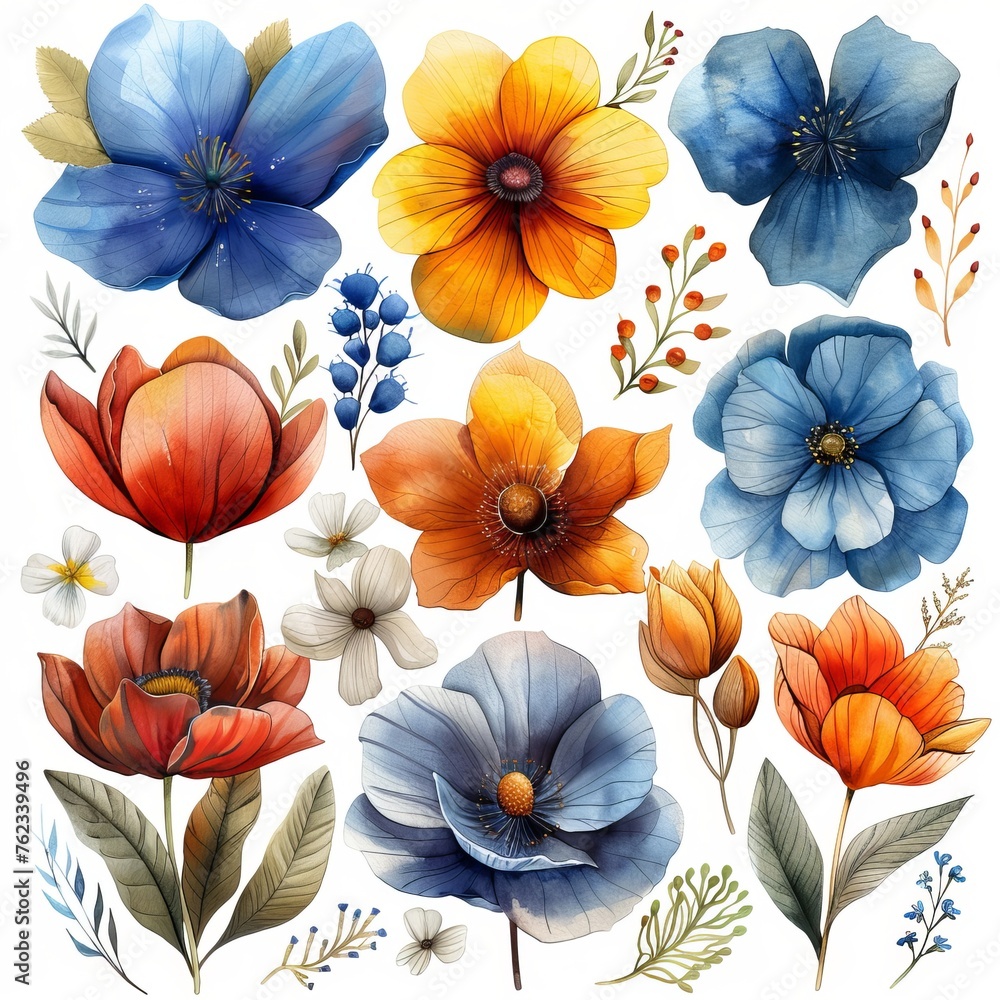 A picturesque watercolor illustration of a variety of flowers, including anemones and cornflowers, with rich detail and clipart
Concept: art and nature, in botanical books and textbooks, flora and pla - obrazy, fototapety, plakaty 