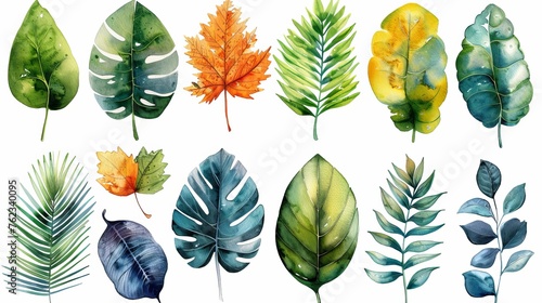 Watercolor collection of leaves of various plants and trees, presented in a variety of green and blue shades concept: botany, growing plants and flowers, wildlife