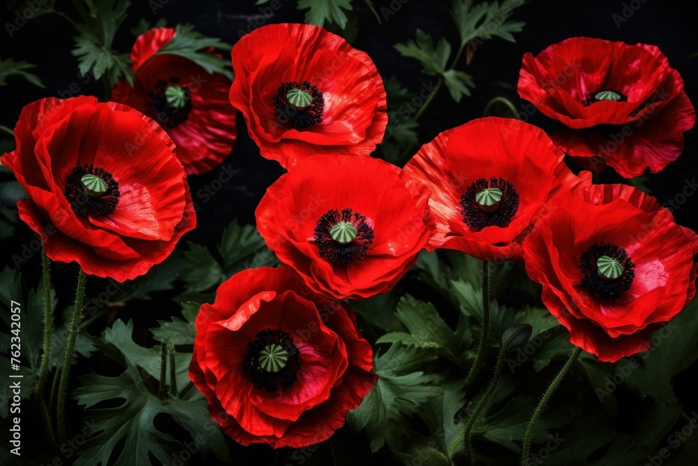 Obraz premium Ephemeral Red poppy flowers. Meadow nature. Generate Ai