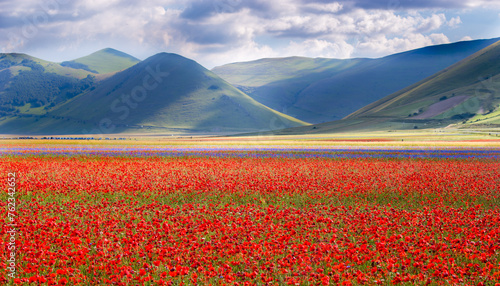 Bild auf Leinwand Castelluccio di Norcia