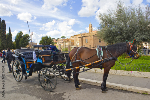 Horse-drawn carriage in Rome, Italy