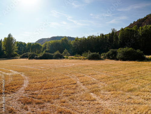 Farmland in the Alcarria region photo
