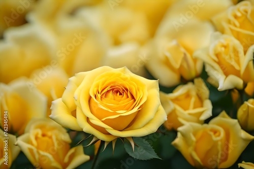 An artistic portrayal of a yellow rose surrounded by its delicate petals  realistically presented in