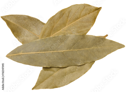 Dry bay leaf on isolated background, spice