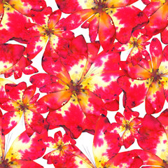 Crédence de cuisine Aquarelle ensemble 1 patrons Beautiful seamless pattern with red flowers. Blooming spring. Watercolor illustration  © BloomPix