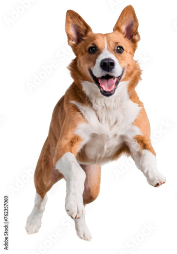 Happy dog jumping isolated on transparent background. AI generative