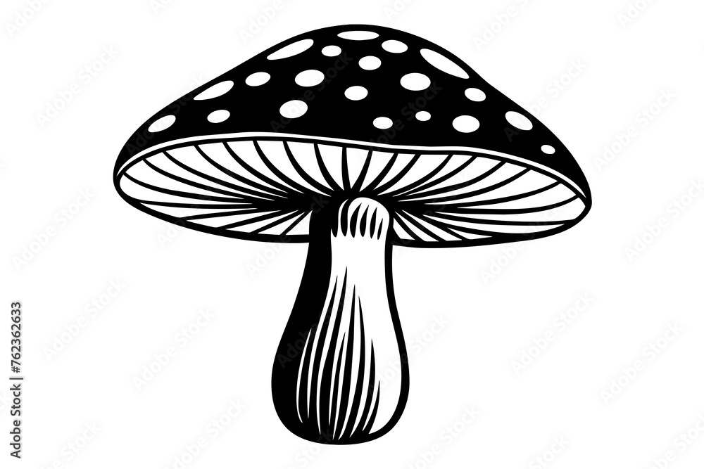 mushroom vector illustration mushroom vector illustration