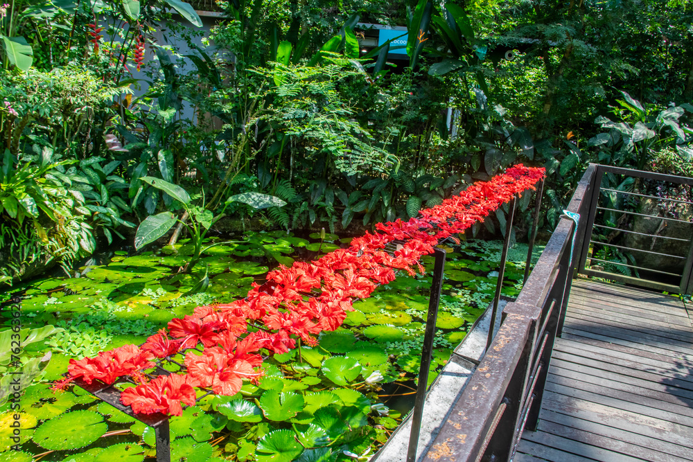 Φωτογραφία The garden of exhibition hall of Entopia Penang Malaysia, filled with life butterflies, insects and reptiles