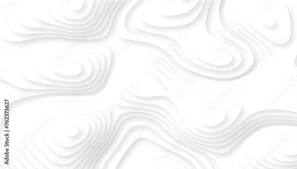 Abstract paper cut white background. Topographic canyon map light relief texture, curved layers and shadow.  Material design concept background illustration. abstract curve line white background. - obrazy, fototapety, plakaty 