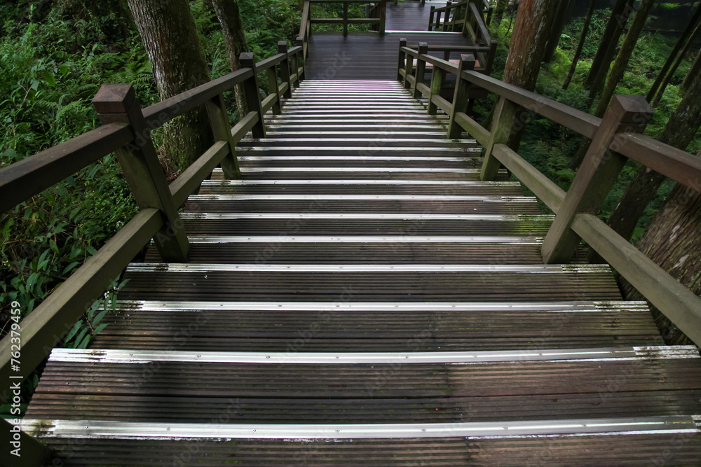 The walkway from wood in nature park taiwan