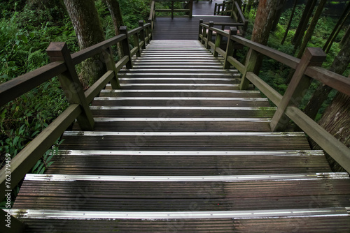 The walkway from wood in nature park taiwan