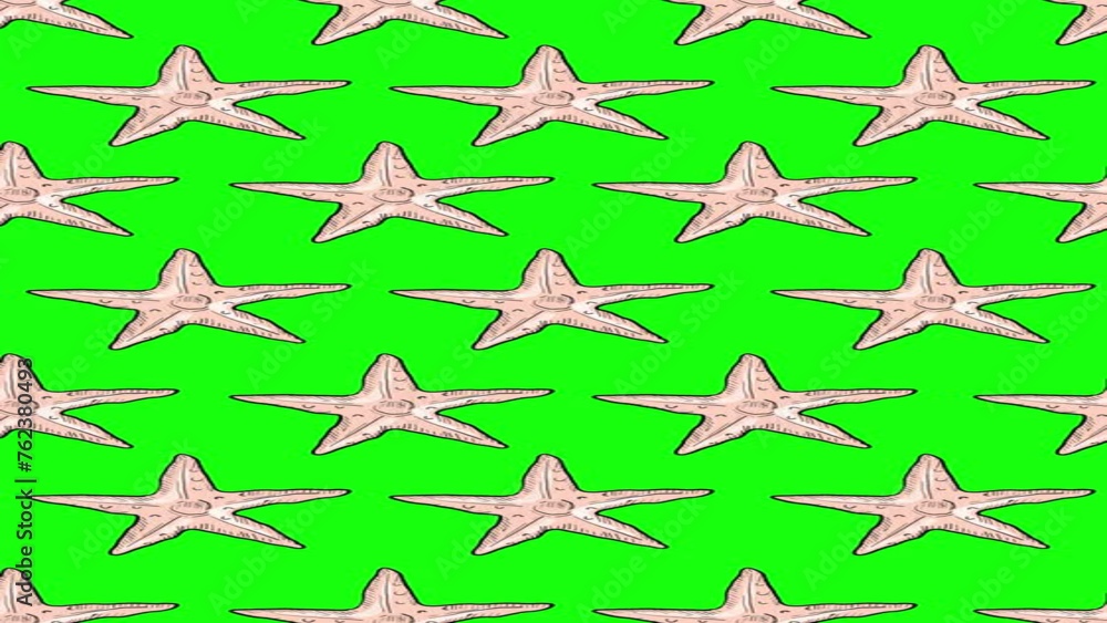 Animated Hand Drawn Starfish Seamless Pattern Moving on Green Screen Background Texture Design of sea stars. Summer Holiday Concept Sea Life Vertical Repeatable Pattern. 4K Sea Animals Pattern Design. Animated Hand Drawn Starfish Seamless Pattern Moving on Green Screen Background Texture Design of sea stars. Summer Holiday Concept Sea Life Vertical Repeatable Pattern. 4K Sea Animals Pattern Design.