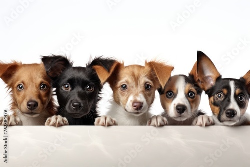 Group of Dogs Peeking Over White Surface Generative AI photo