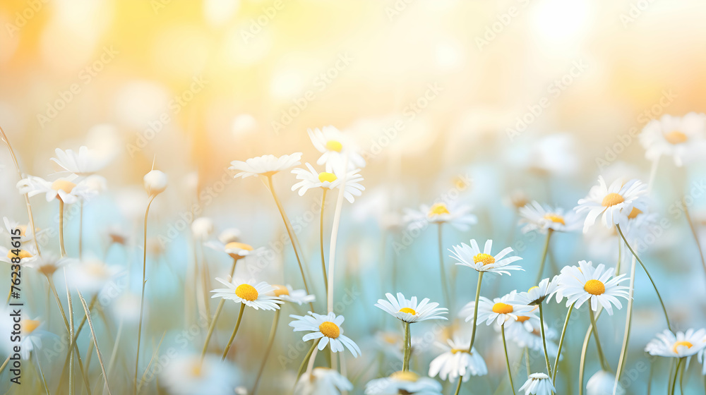 Beautiful gently spring or summer field with chamomile flowers on nature blurred sky background. Close-up Meadow natural landscape Generative Ai