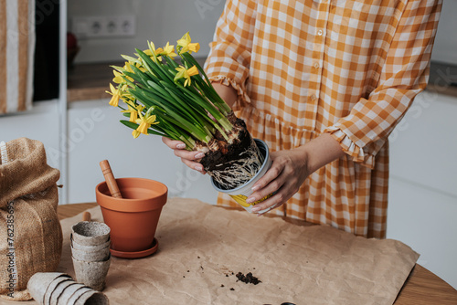 A woman in a yellow dress removes daffodils from a plastic pot to transplant them onto a paper-lined table in a bright kitchen. on the table there are small gardening tools, scissors, soil in a bag.