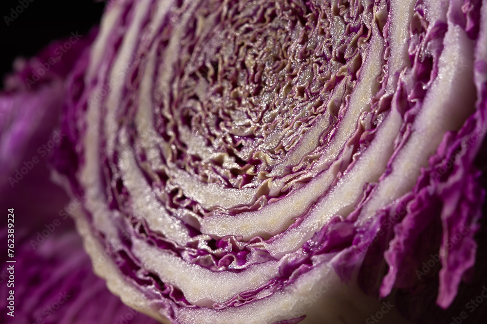 Obraz premium Purple cabbage macro abstract background. Creative composition in the harsh sunlight. Cut the crude product. Vegetarianism, diet, vitamins. Purple Peking cabbage for salads. The texture of the food