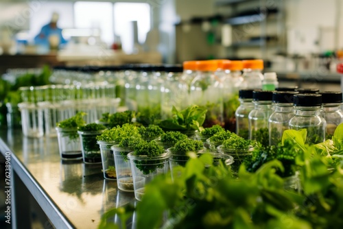 Various young plants grown in petri dishes and jars in a bright lab setting