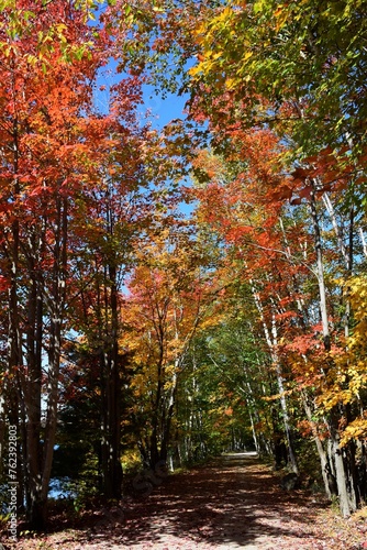 bicycle trail through a a colourful Autumn forest , Laurentian mountains near Lake Mercier, Mont-Tremblant Quebec Canada