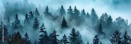Amazing mystical rising fog sky forest snow snowy trees landscape snowscape in black forest © ryanbagoez