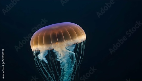 A Jellyfish Pulsating With Bioluminescence Upscaled 4