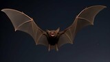 A Bat Using Echolocation To Navigate Through The N Upscaled