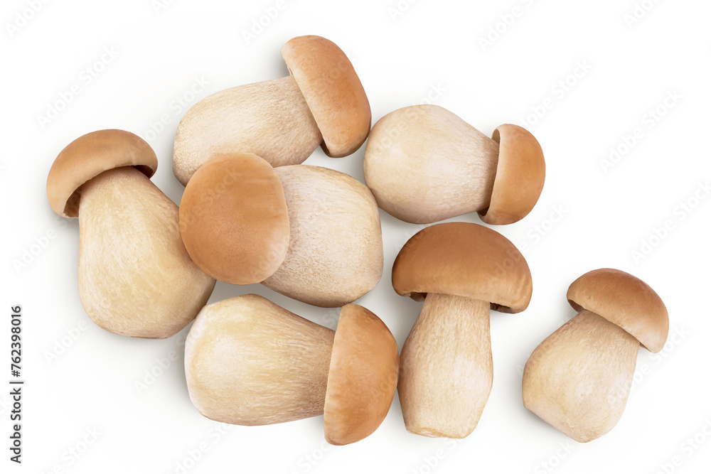Fresh porcini cep mushroom isolated on white background with full depth of field. Top view. Flat lay Fresh porcini cep mushroom isolated on white background with full depth of field. Top view. Flat lay
