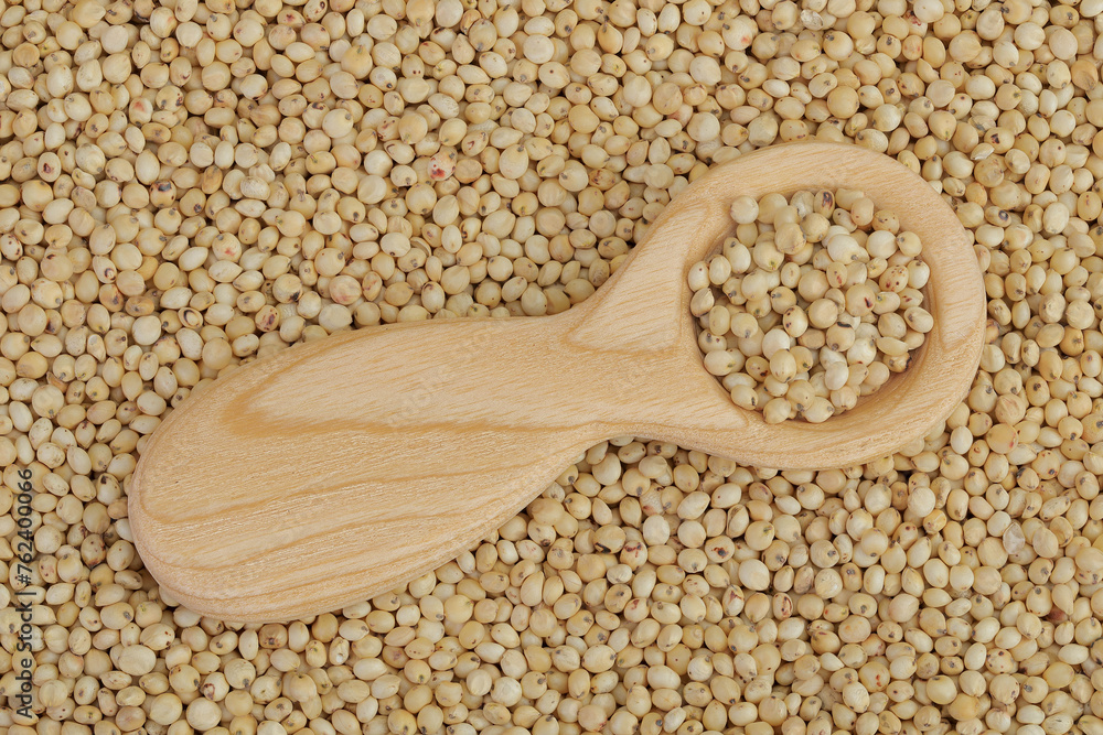 background of sorghum seeds with wooden spoon. Top view. Flat lay.