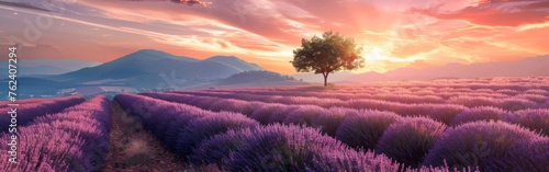 A single tree stands tall amidst a lavender field bathed in the warm hues of a setting sun. The landscape is serene, with the tree casting a striking silhouette against the colorful sky. © vadosloginov