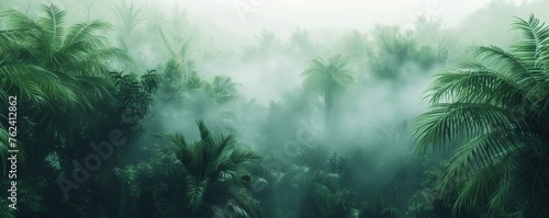 Misty Tropical Rainforest Canopy at Dawn With Lush Greenery