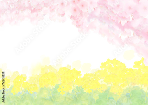 水彩風の菜の花と満開の桜の背景フレーム