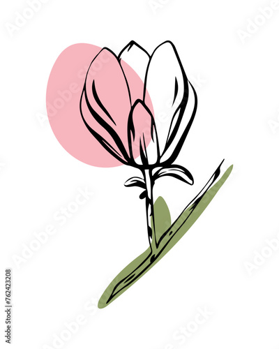 Magnolia in sketch style with abstract color shapes, hand-drawn isolated on white background. Floral sketch for print designs, signage, flower shops, logos in black and white.