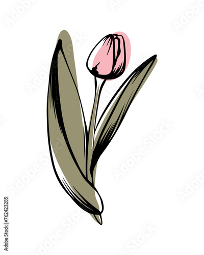 Tulip in sketch style with abstract color shapes, hand-drawn isolated on white background. Floral sketch for print designs, signage, flower shops, logos in black and white.