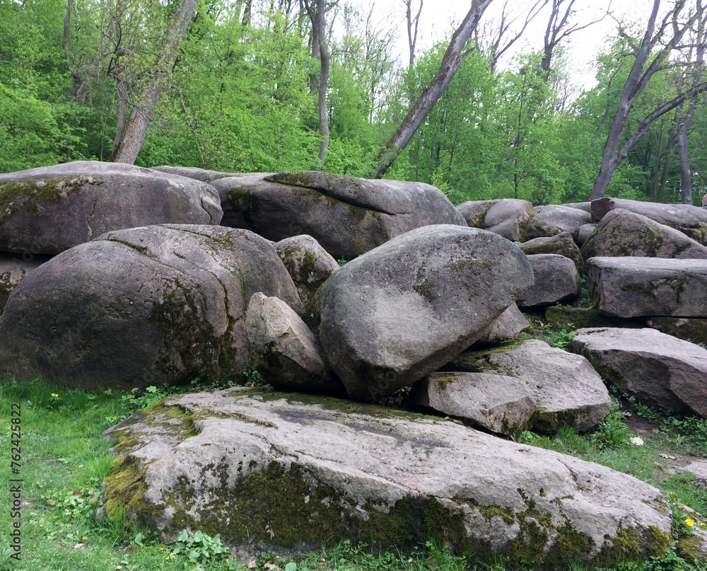 Park, spring park, large stones covered with moss, and around trees that are starting to turn green, nature Park, spring park, large stones covered with moss, and around trees that are starting to turn green, nature