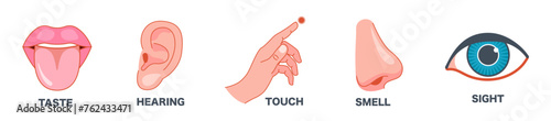 Senses line icons set. 5 five types symbols. Vector illustration set