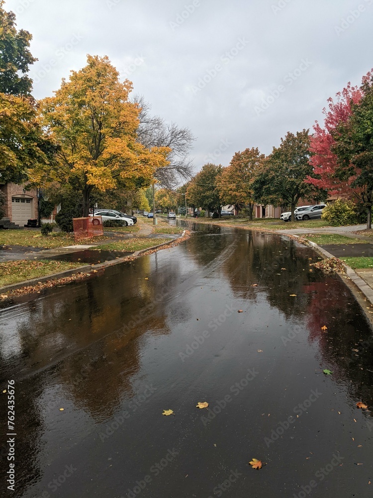 A residential street in the suburbs during a colorful fall on a cloudy day