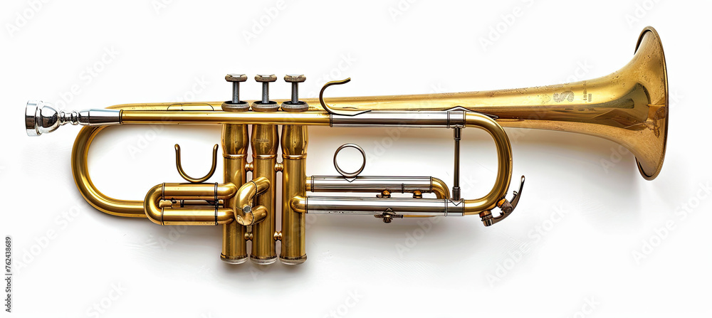 Fototapeta premium Golden Trumpet isolated on white background