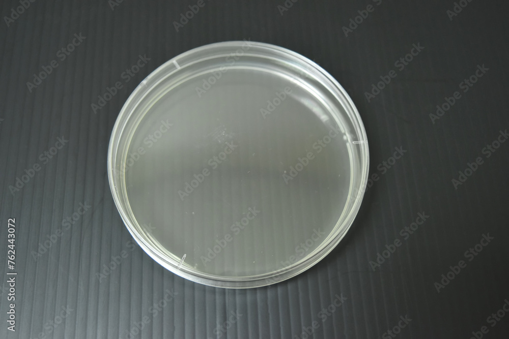 Colonies of bacteria growth on agar plate medium in laboratory. Colonies of bacteria growth on agar plate medium in laboratory.