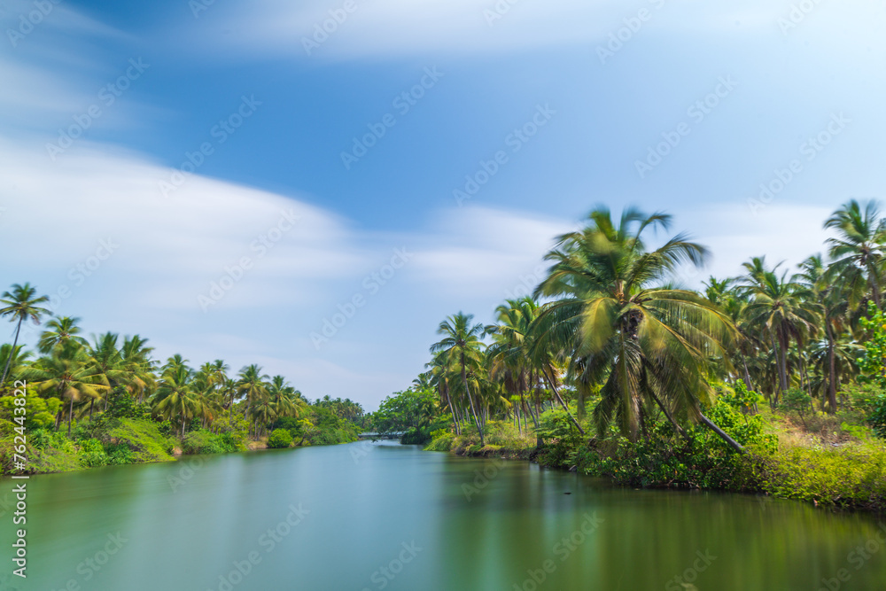 beach with palm trees beach with palm trees