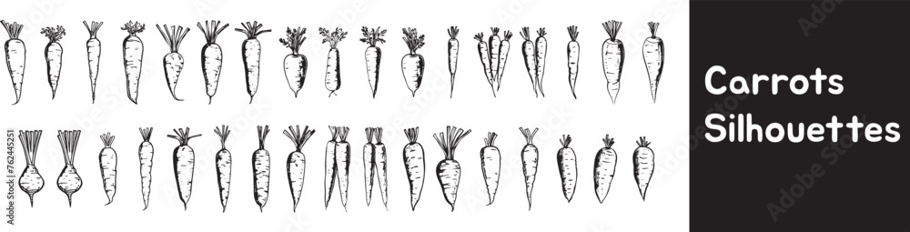 Carrot hand drawn vector illustration set. Isolated Vegetable engraved style object with sliced pieces. Detailed vegetarian food drawing. Farm market product. Great for menu, label, icon