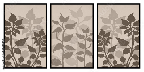 Set of 3 Printable botanical illustration. Rustic style home decor, wall decoration, picture in the frame. Grunge, vintage illustration. 