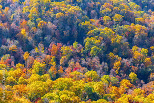 Looking down at the beautiful autumn foliage at Mount Magazine.