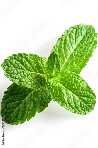 Fresh mint leaf, isolated on white background
