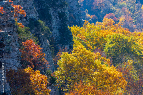 Cliffside view of autumn foliage at Mount Magazine State Park.