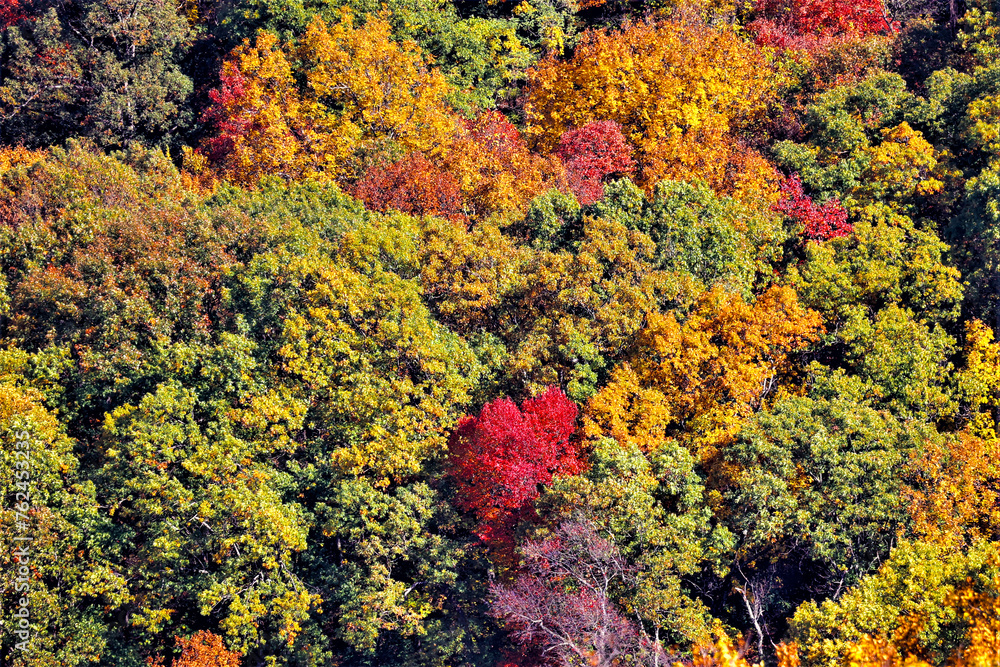 Autumn colors at Mount Magazine State Park. Autumn colors at Mount Magazine State Park.