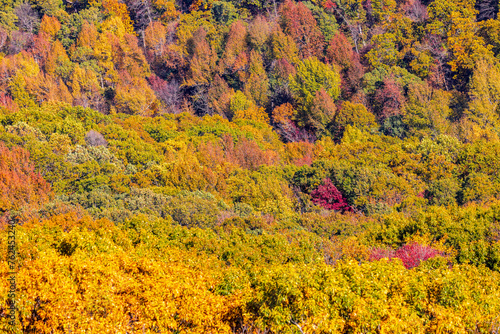 Autumn colors at Mount Magazine State Park.