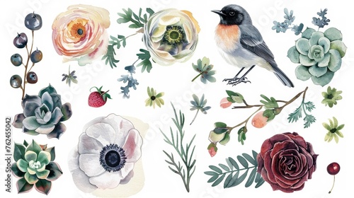 Various modern flowers in a vintage watercolor style: ranunculus, anemone, succulent, Robin bird, wild privet berry, branches and leaves.