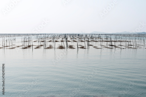 View of the seaweed laver farm at the seaside