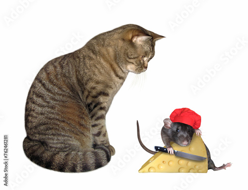 Cat looks at rat cutting cheese